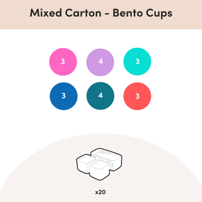 Mixed Cartons - Bento Box Accessories