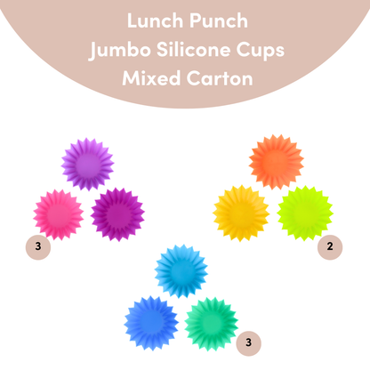 Lunch Punch Mixed Cartons - Accessories