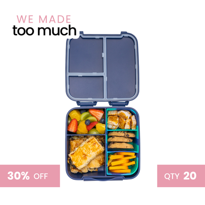 We Made Too Much - Lunch Boxes