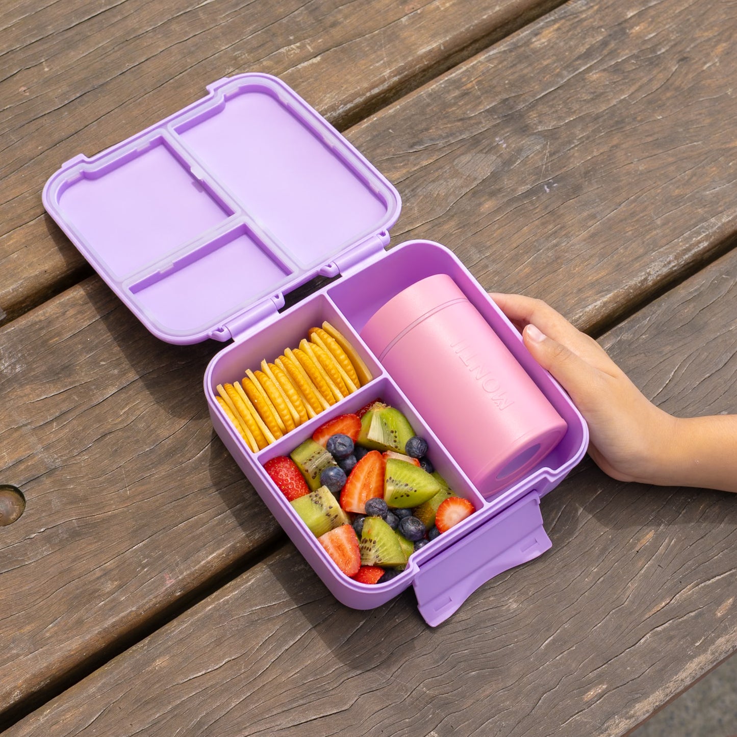 MontiiCo Bite Lunch Box