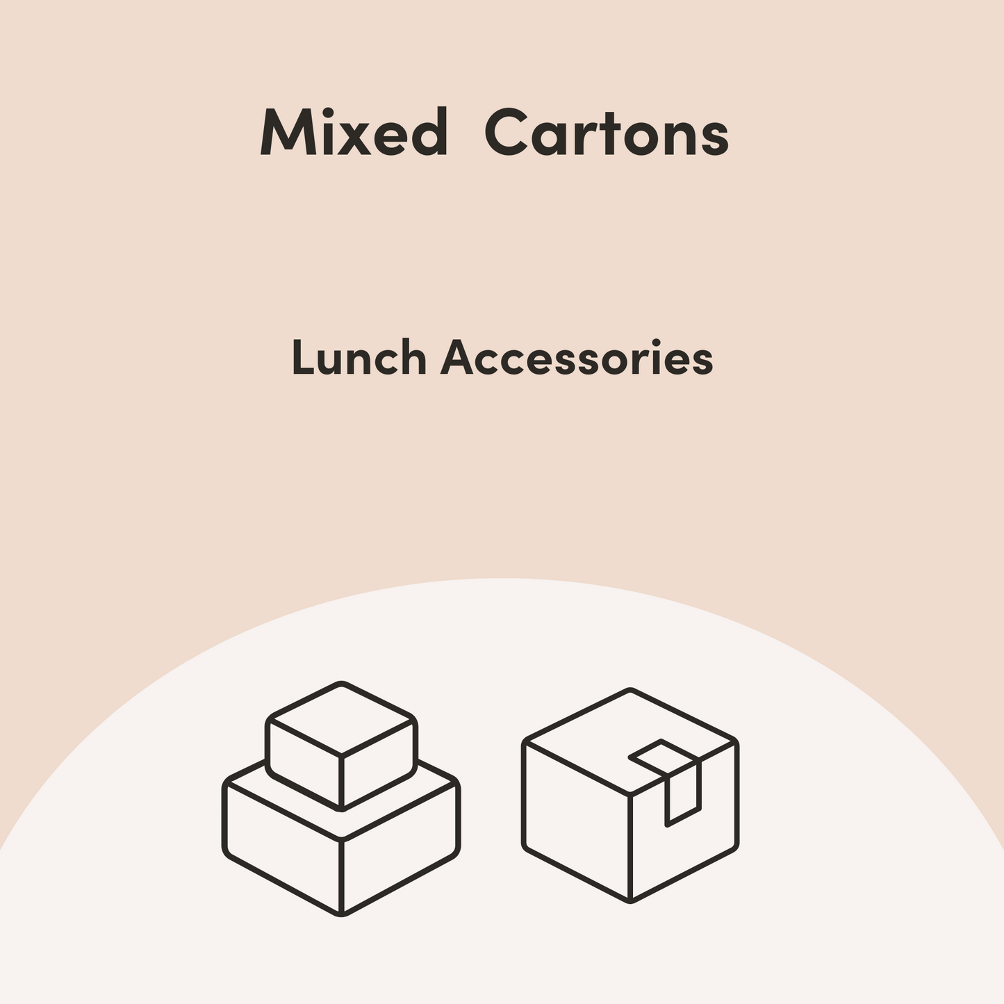 Mixed Cartons - Bento Box Accessories